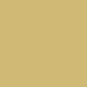 Corian Worktop - Absolute Beige