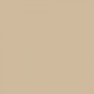 Corian Worktop - Sand